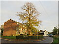 SP4909 : Wolvercote Green, Wolvercote, near Oxford by Malc McDonald