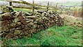 SD9147 : Looking west along wall and fence NW of Batty House Farm by Roger Templeman