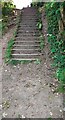 NY3856 : Wooden steps on footpath heading for Engine Lonning by Luke Shaw