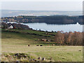 NH4957 : View towards Loch Ussie from the Bealach Bhrahan by Julian Paren