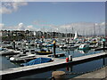 J5082 : A forest of masts across Bangor Marina by Rod Grealish