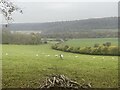 SU7592 : Sheep grazing above Ashfield Barn, Ibstone by Simon Mortimer