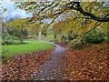 SK5504 : Path through Western Park, Leicester by Mat Fascione