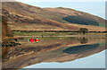 NT2623 : St Marys Loch reflections by Walter Baxter