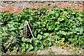 TF9007 : Holme Hale Hall Gardens: Winter squash by Michael Garlick