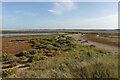 TF9945 : Middle Point, Blakeney Point by Hugh Venables