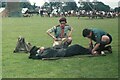 SJ7686 : First Aid demonstration by Geoffrey William Sutcliffe