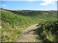 NY3232 : Small ford on The Cumbria Way by Adrian Taylor