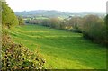 SX8387 : Sowton Brook valley by Derek Harper