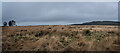 SK2868 : Parkgate Stone Circle, Beeley by Brian Deegan