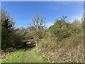 SK0053 : Path on Coombes Valley RSPB reserve by Jonathan Hutchins