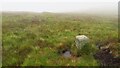 O0819 : Boundary marker east of Seahan, Wicklow Mountains by Colin Park