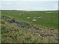 SD4560 : Boat stranded on Aldcliffe's salt marsh by Christine Johnstone