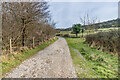 SY8780 : Track to Worbarrow Bay by Ian Capper