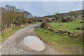 SY8779 : Track to Worbarrow Bay by Ian Capper