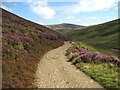 NY3131 : The Cumbria Way below Cocklakes by Adrian Taylor