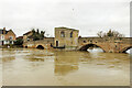 TL3171 : St. Ives Bridge by Richard Croft