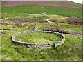 NY3030 : Sheepfold beside Wiley Gill by Adrian Taylor