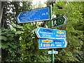 TQ0794 : Signpost on the Ebury Way near Lot Mead Lock by David Hillas