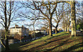 NZ1431 : Trees on grassy slope in Witton-le-Wear by Trevor Littlewood