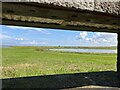 NT3573 : View from a hide at Musselburgh Lagoons by Jonathan Hutchins