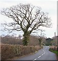 SY0490 : B3180 south of Heather Down Farm by Derek Harper