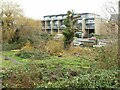 TL4659 : Constructive pruning, Logans Meadow by Alan Murray-Rust