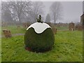 SP4946 : Christmas pudding bush by Oscar Taylor