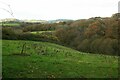 SX8680 : Valley near Chudleigh Woods Farm by Derek Harper