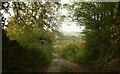 SX8680 : Footpath approaching Chudleigh Woods Farm by Derek Harper