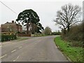 SZ1695 : Salisbury Road, Burton, near Christchurch by Malc McDonald