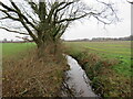 SZ1896 : River Mude near Christchurch by Malc McDonald