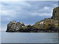 NT9069 : Tip of St Abb's Head by Jonathan Hutchins