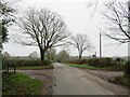 SZ1898 : Ringwood Road, near Bransgore by Malc McDonald