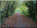 ST4255 : Strawberry Line / NCN26 near Winscombe by Kevin Pearson