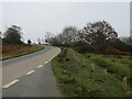 SU2500 : Minor road in the New Forest by Malc McDonald