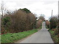 SY9394 : Halls Road, Lytchett Matravers by Malc McDonald