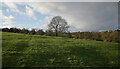 SE1923 : A view from the path from Lands Beck to Moorside Farm (SPE/130/10), Liversedge by habiloid