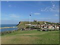 NZ8911 : Flagpole on Whitby West Cliff by Stephen Craven