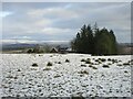 NN8513 : Lightly snowed field at Muirhead by Scott Cormie