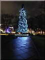 NZ2464 : Illuminated  tree, Newcastle Civic Centre by Graham Robson