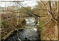 NS5574 : Weir and fish ladder by Richard Sutcliffe