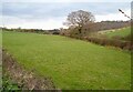 SX9188 : Field beside Matford Brook by Derek Harper