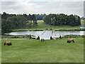 SP4415 : Cross-country course crossing the River Glyme by Jonathan Hutchins