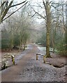 TL4400 : Parish Boundary near Theydon Bois, Epping Forest by Roger Jones