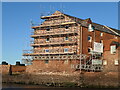 NT5585 : East Lothian Townscape : Cantilever scaffolding at Harbour Terrace, North Berwick by Richard West