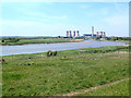 SJ5686 : The Mersey and Fiddler's Ferry Power Station by Gary Rogers