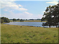 SJ7581 : Lake in Tatton Park by Gary Rogers