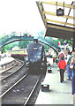 SE7984 : 60007 Sir Nigel Gresley arriving at Pickering by Chris Coleman