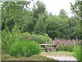  : Picnic area at Garlogie by Lizzie